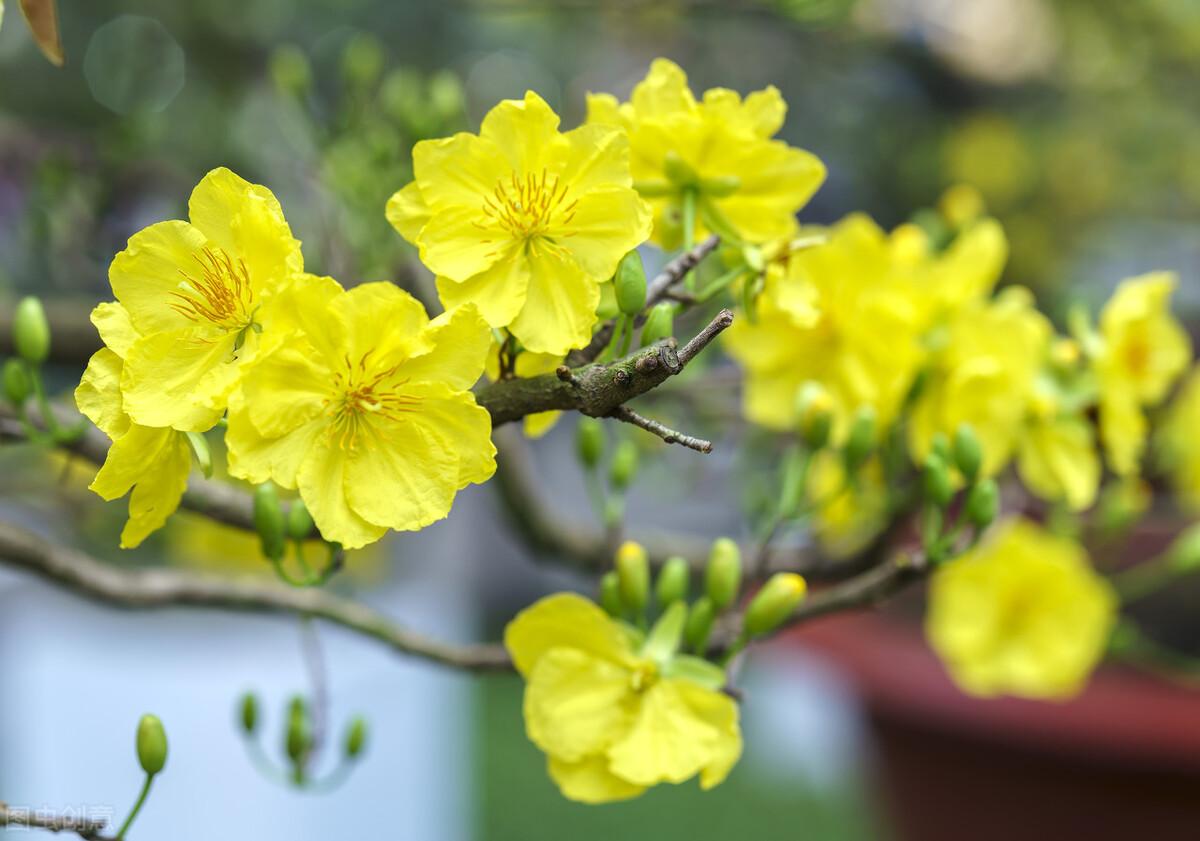 写给我远方的爱人：痴念一生，相思一世，只为你(图2)