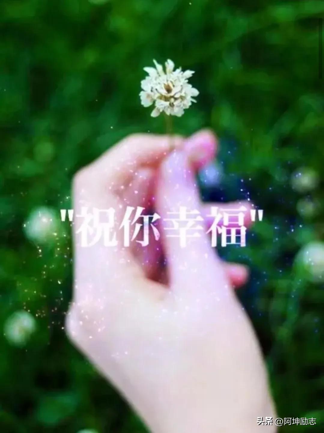 单身中年如何找到幸福？这篇文章告诉你！(图3)