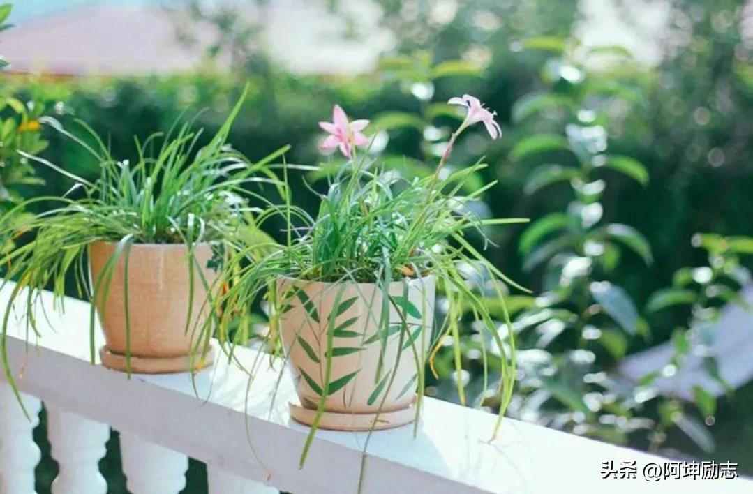 单身中年如何找到幸福？这篇文章告诉你！(图9)