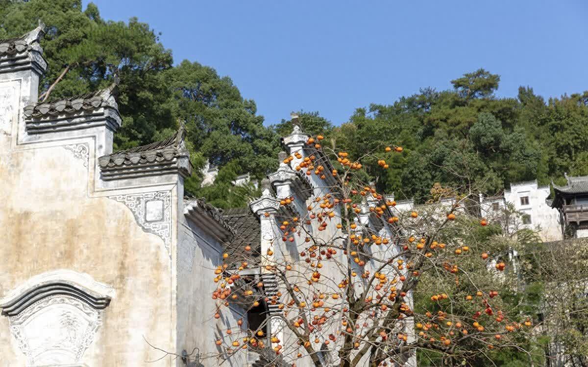 65岁单身大叔的养老计划：先去浪迹天涯，再回家过晚年的慢生活(图6)