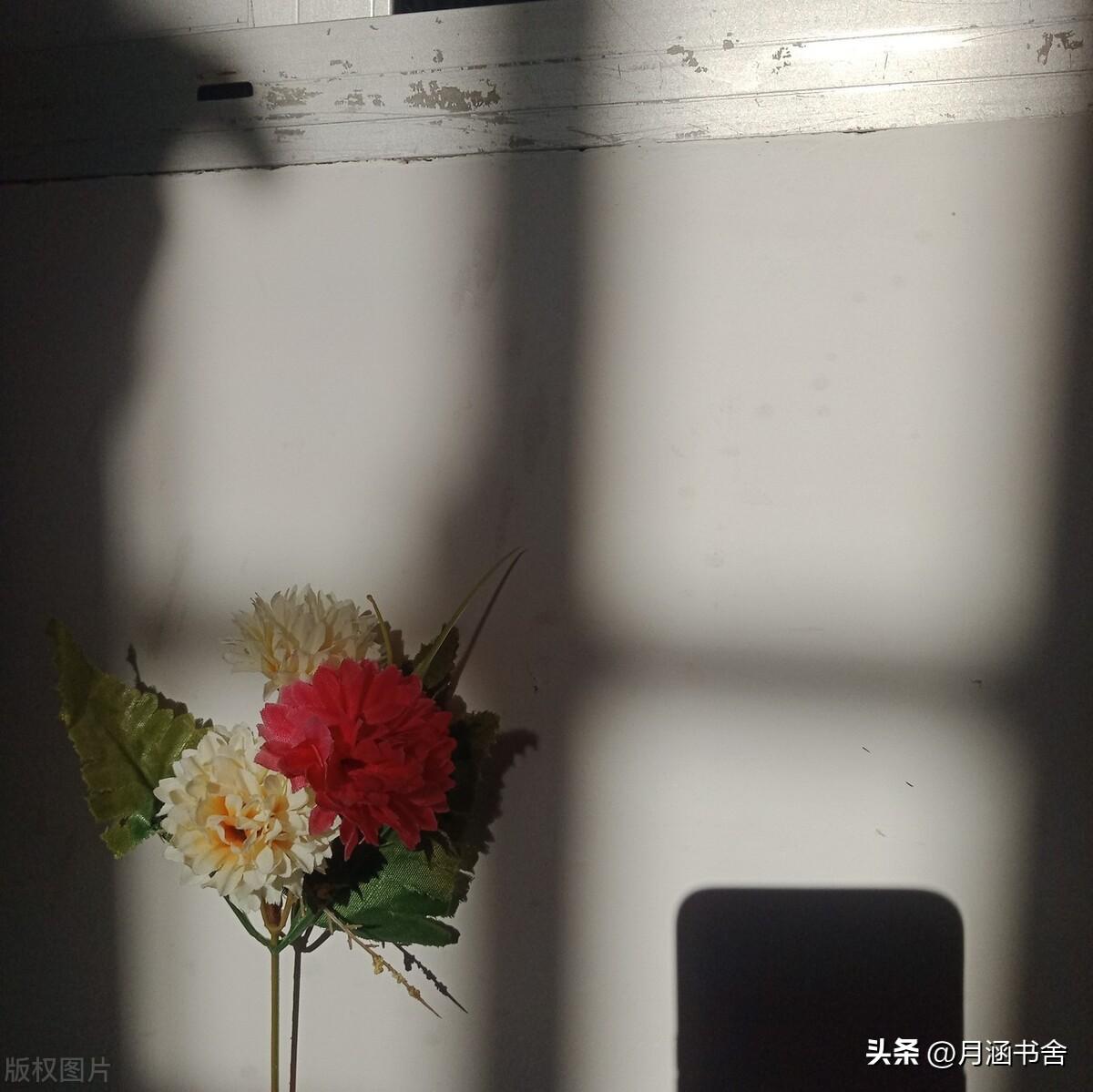 杨绛先生说：人到中年，兄弟姐妹交往时，该装的要装！句句现实(图2)