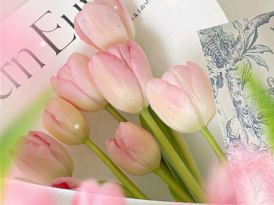 杨绛先生经典语录，看完之后醍醐灌顶，建议再忙也要看看(图1)