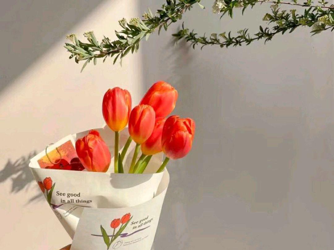 杨绛先生经典语录，看完之后醍醐灌顶，建议再忙也要看看(图2)