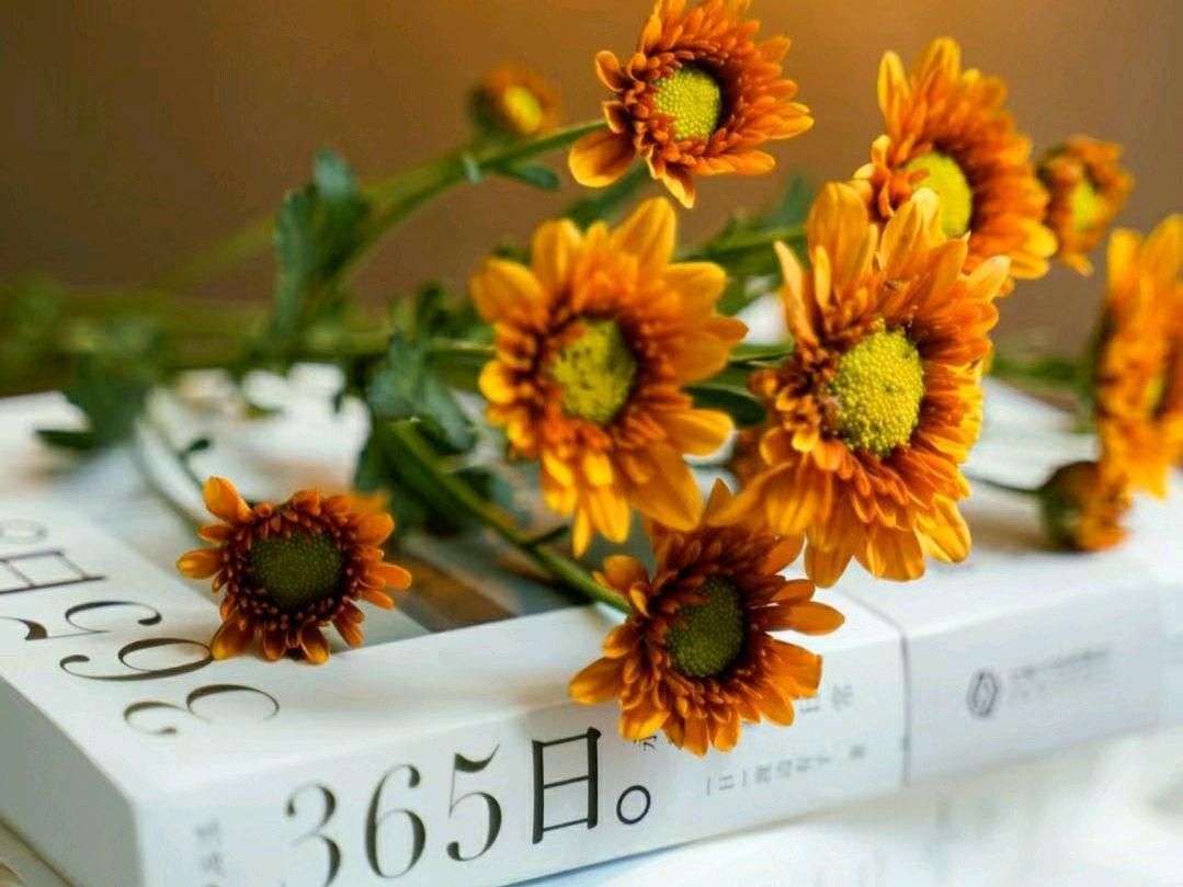 杨绛先生经典语录，看完之后醍醐灌顶，建议再忙也要看看(图3)