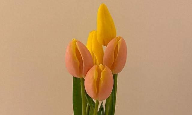 独自追寻，中年人的清醒旅程(图2)