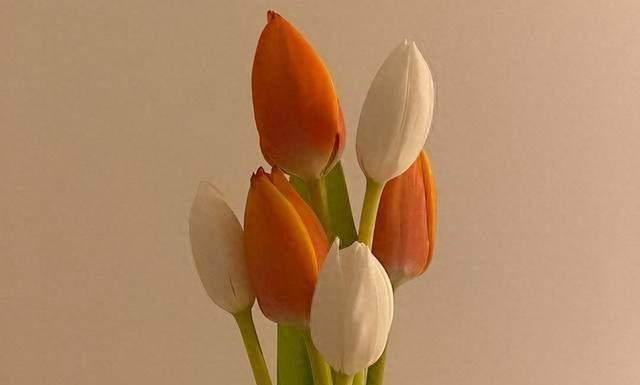 独自追寻，中年人的清醒旅程(图3)