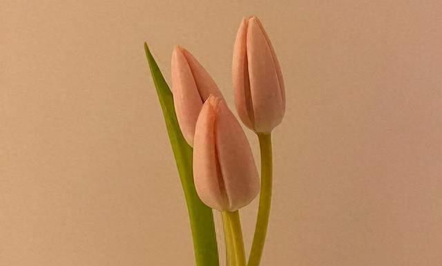 独自追寻，中年人的清醒旅程(图5)