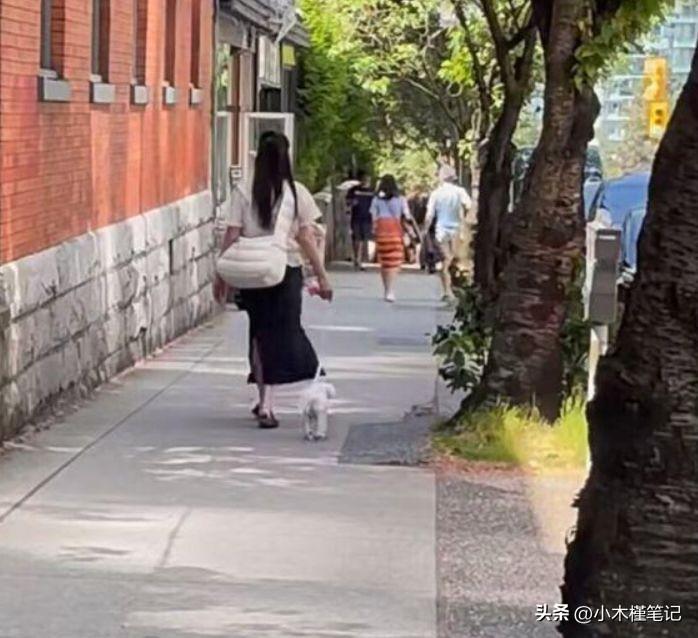 56岁王祖贤久违登台演讲，身材圆润发福明显，脖子前倾还驼背(图11)