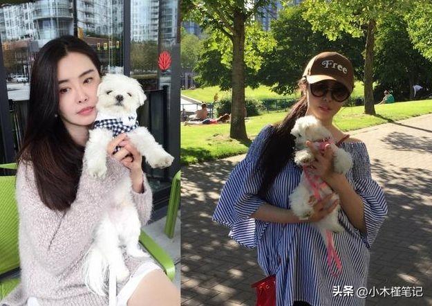 56岁王祖贤久违登台演讲，身材圆润发福明显，脖子前倾还驼背(图14)