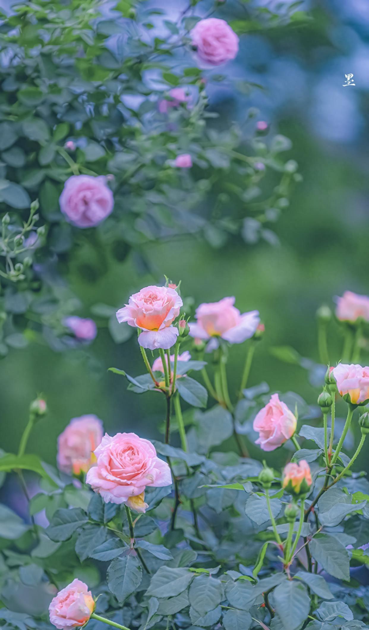 宋词中最相思的一场秋雨，一下就是1000年，落在每一个离人的心上(图1)