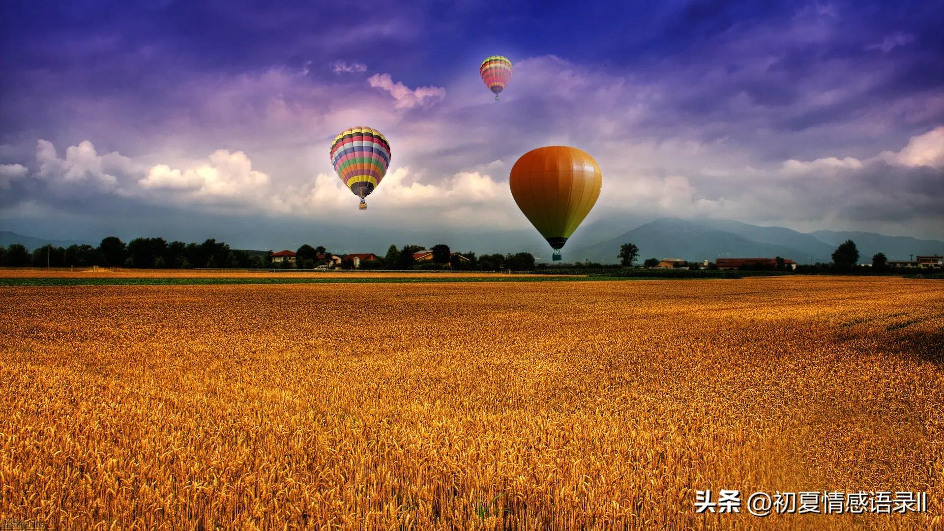 如果你迷茫了，不妨进来看看这25条语录(图1)