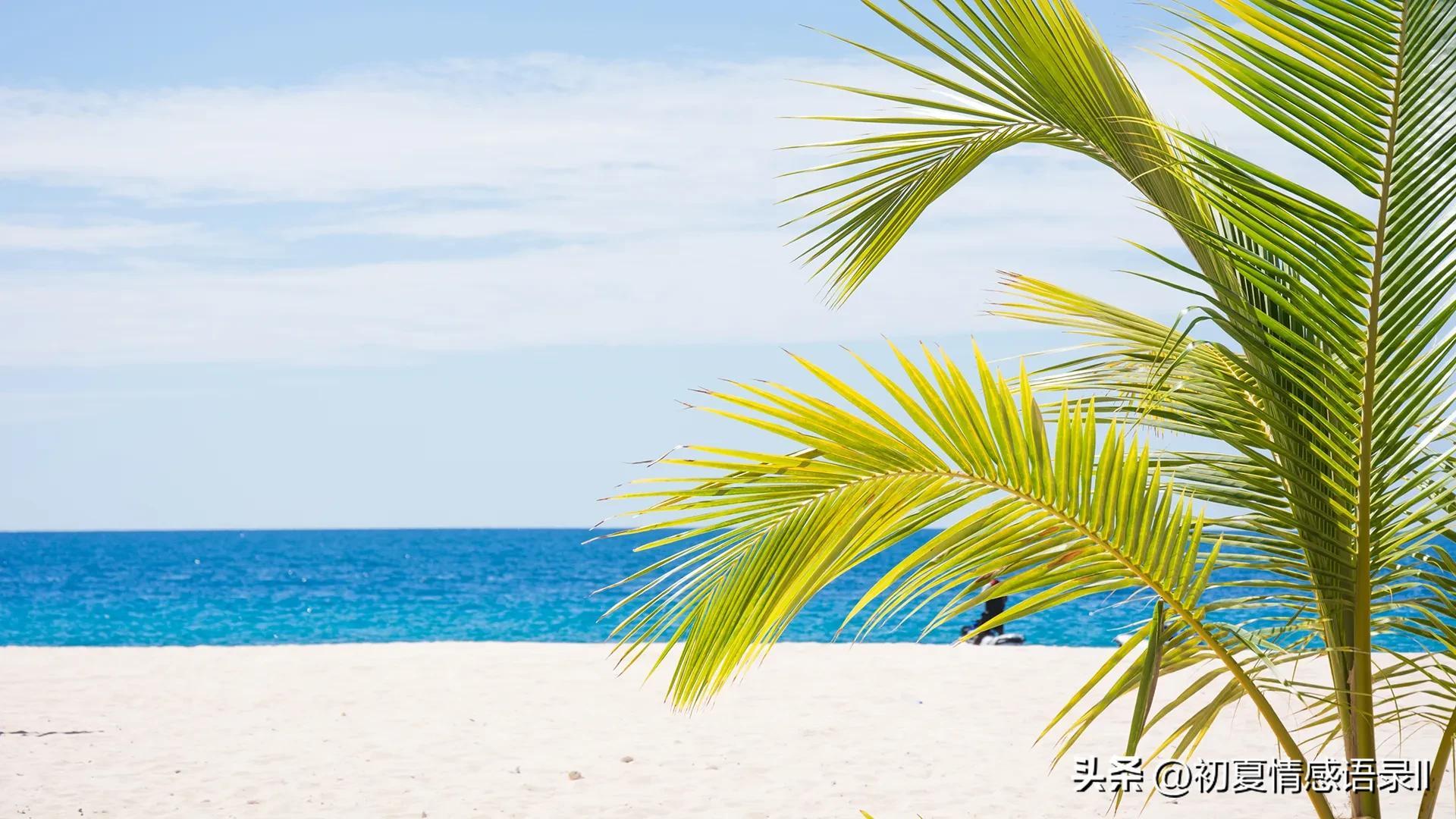 如果你迷茫了，不妨进来看看这25条语录(图4)