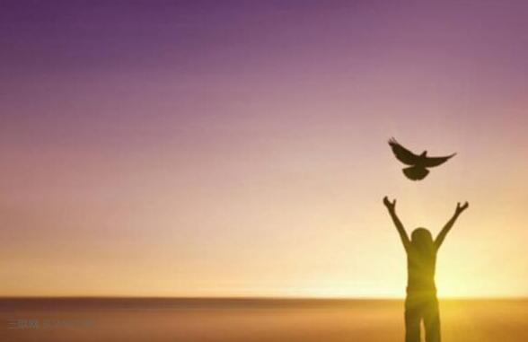 送给对人生迷茫的你[励志语录](图1)