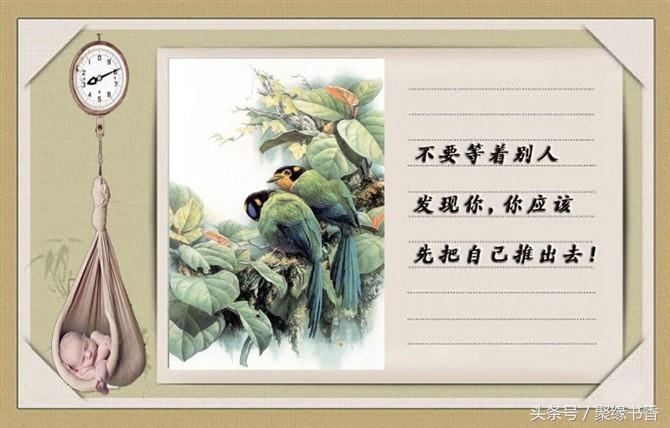 人生妙语：让你受用终生的100条经典人生感悟哲理，值得品味(图1)