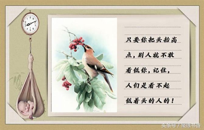 人生妙语：让你受用终生的100条经典人生感悟哲理，值得品味(图5)