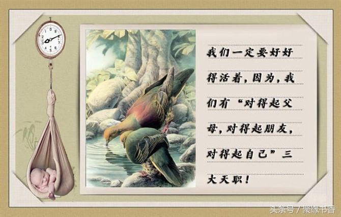 人生妙语：让你受用终生的100条经典人生感悟哲理，值得品味(图18)