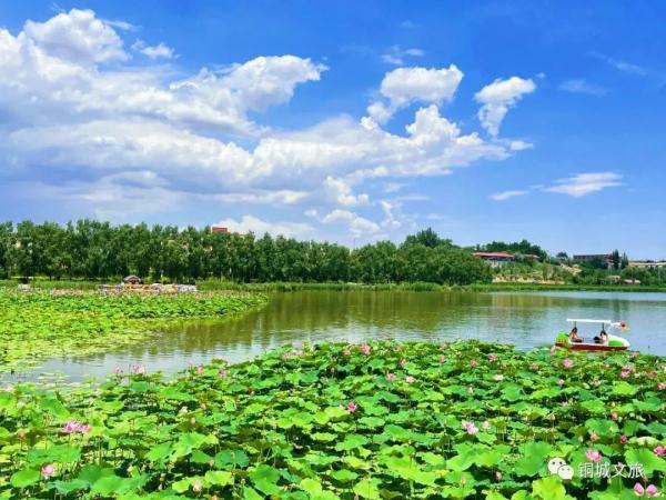 水面清圆风荷举 幽池菡萏绿色浓(图1) 水面清圆风荷举 幽池菡萏绿色浓(图1)