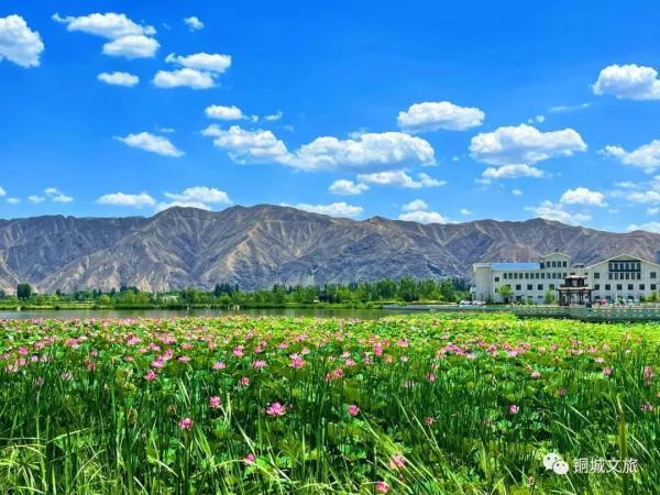 水面清圆风荷举 幽池菡萏绿色浓(图3) 水面清圆风荷举 幽池菡萏绿色浓(图3)