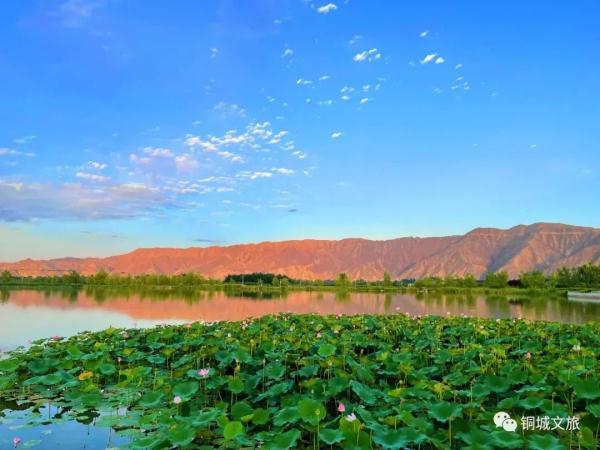 水面清圆风荷举 幽池菡萏绿色浓(图5) 水面清圆风荷举 幽池菡萏绿色浓(图5)