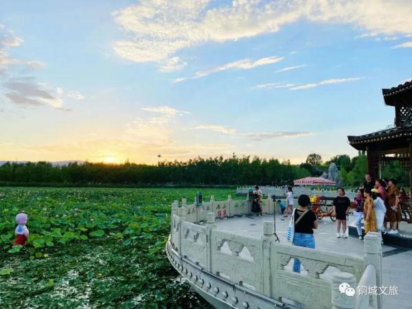 水面清圆风荷举 幽池菡萏绿色浓(图7) 水面清圆风荷举 幽池菡萏绿色浓(图7)