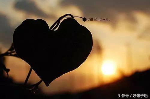 关于爱情的唯美的情感语录，句句戳中泪点！(图6)