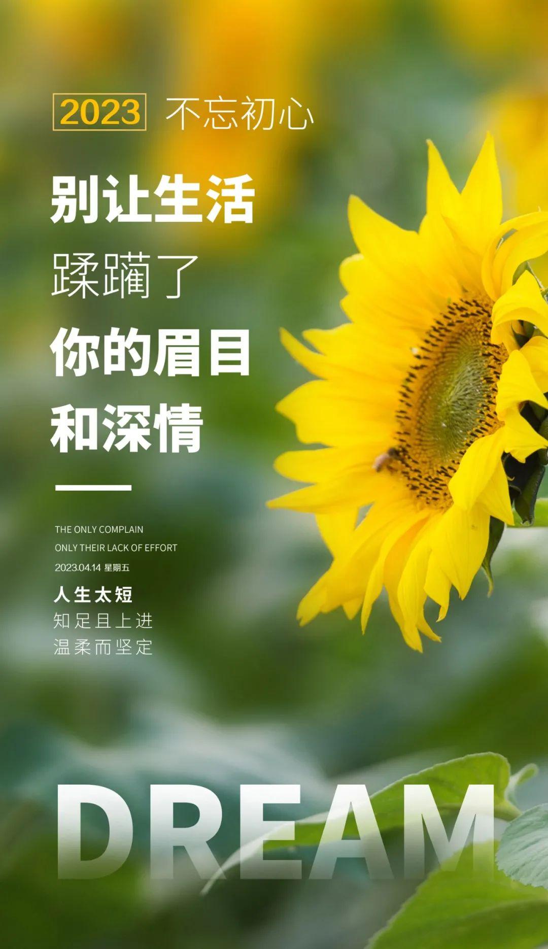 「2023.04.14」早安心语，正能量幸运语录句子，鼓励人的震撼图文(图7)