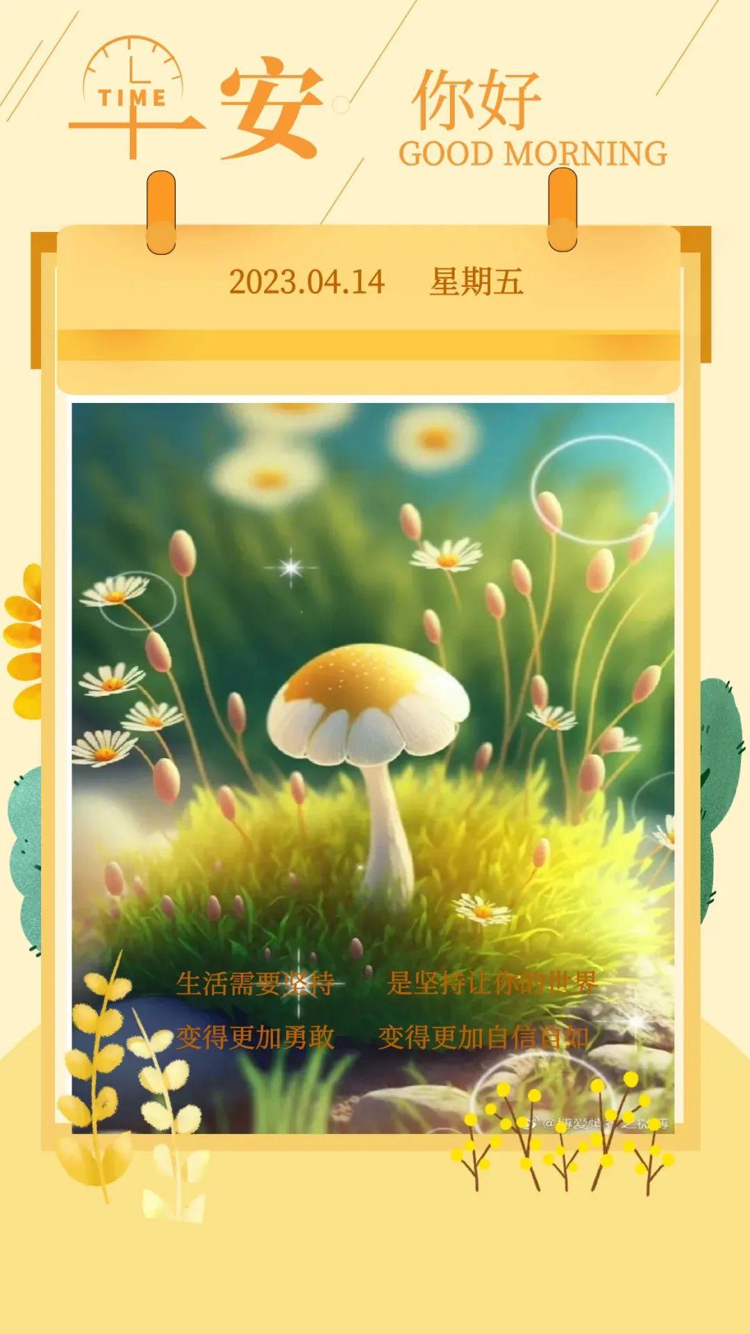「2023.04.14」早安心语，正能量幸运语录句子，鼓励人的震撼图文(图25)