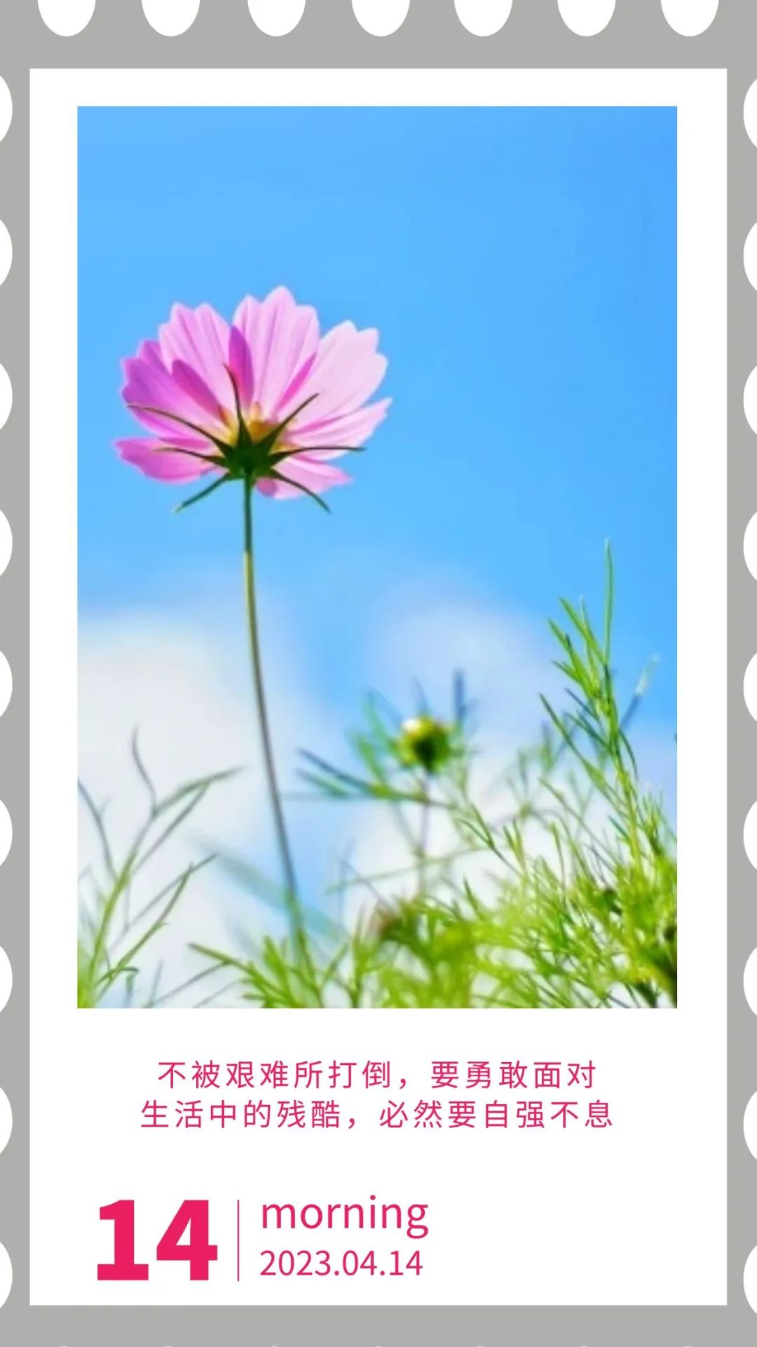 「2023.04.14」早安心语，正能量幸运语录句子，鼓励人的震撼图文(图33)