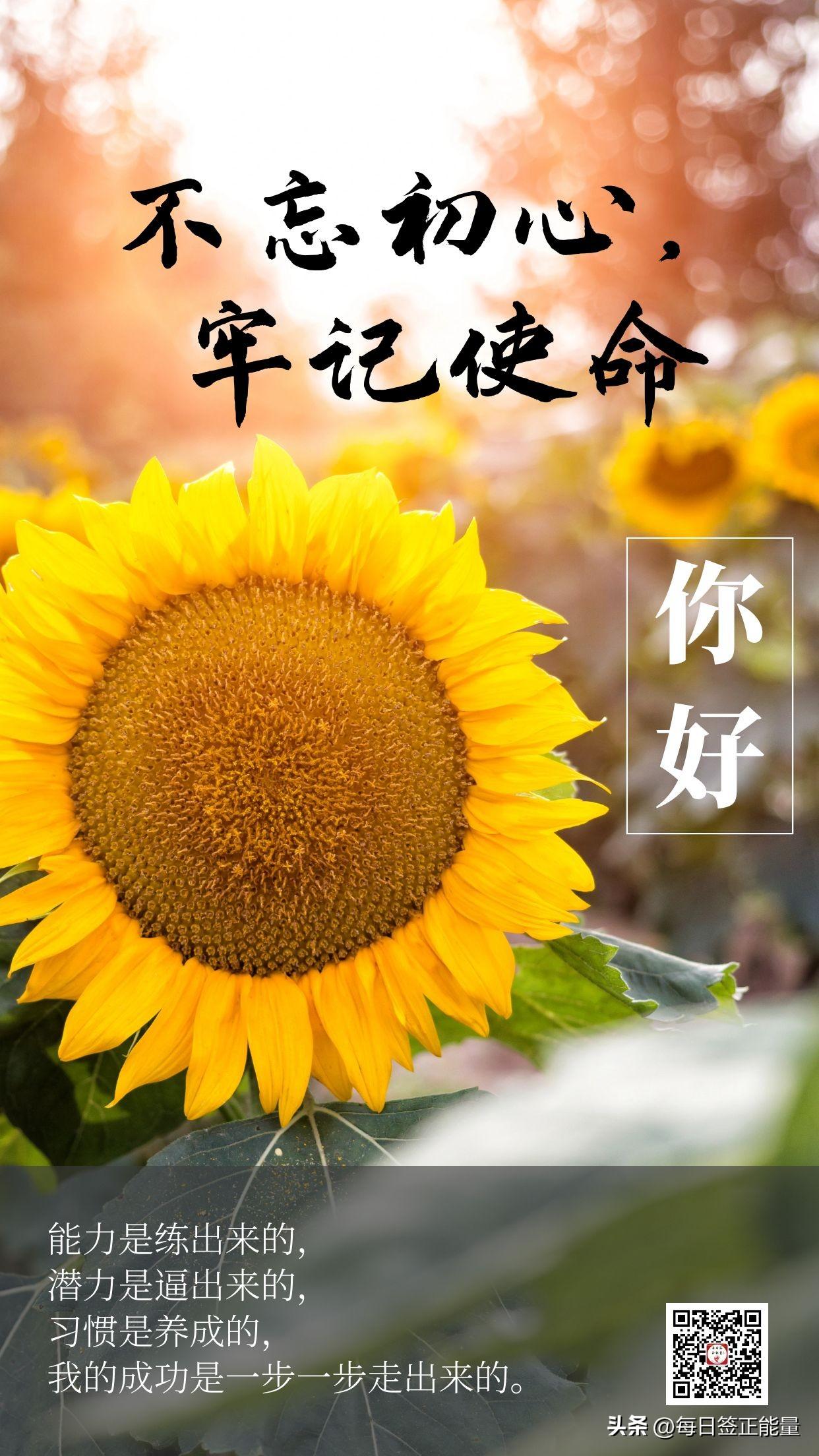 「今日寄语」每一天都是你人生旅程中不可或缺的一步，驾驭明天(图1)