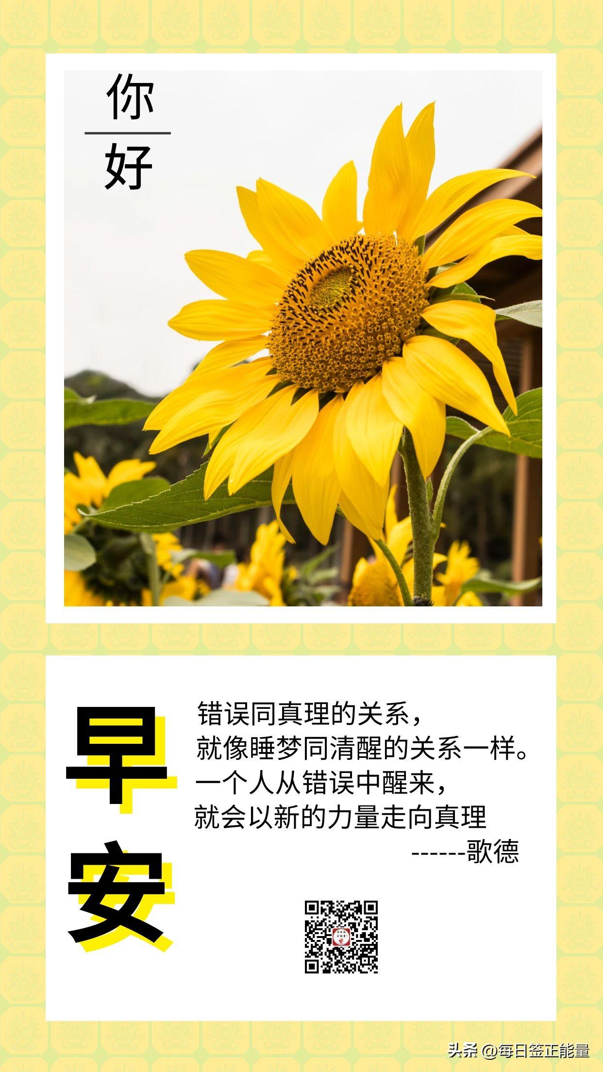 「今日寄语」给自己一份美好，让每个早晨充满希望，顺其自然(图1)