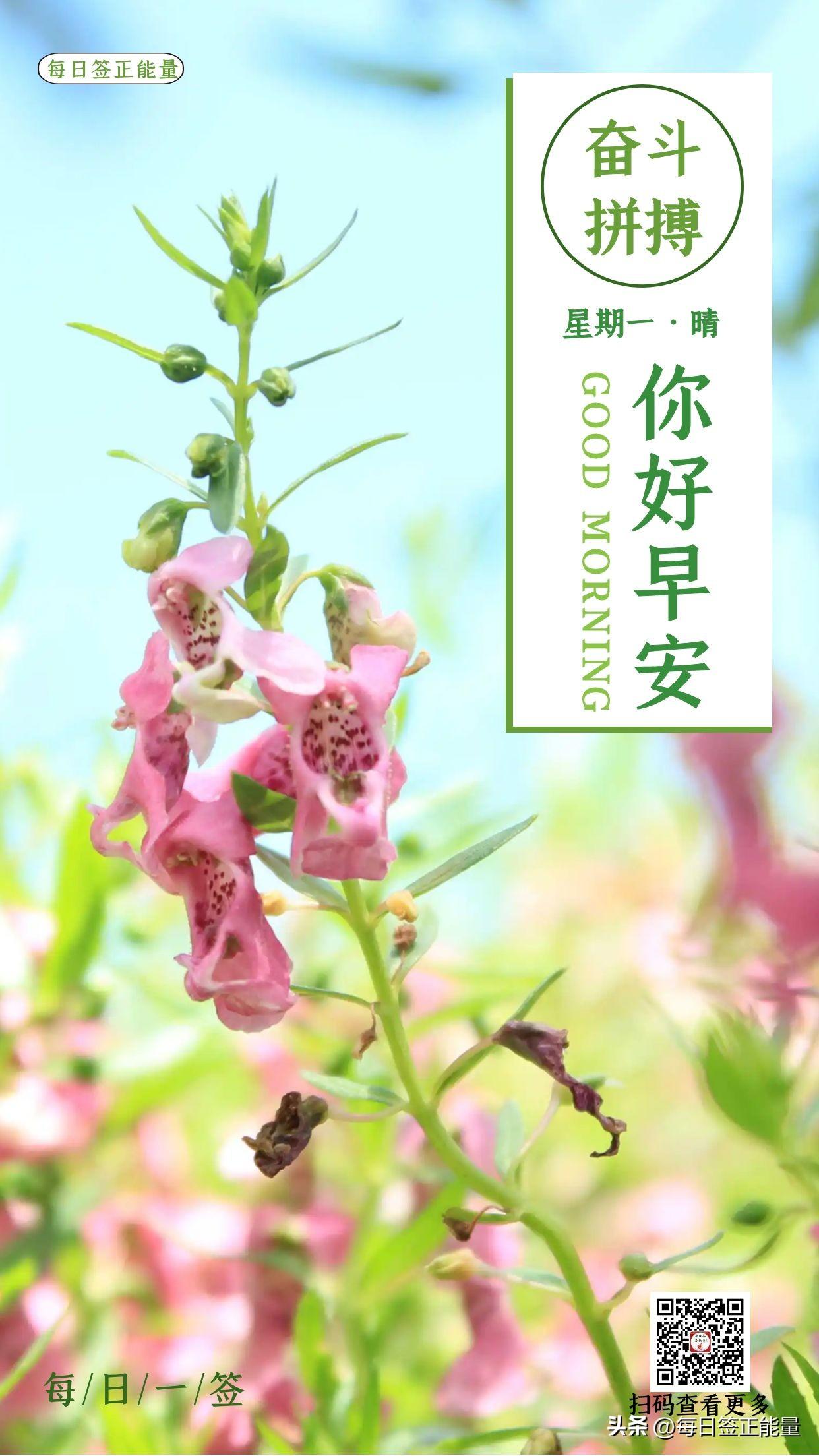 「今日寄语」给自己一份美好，让每个早晨充满希望，顺其自然(图2)