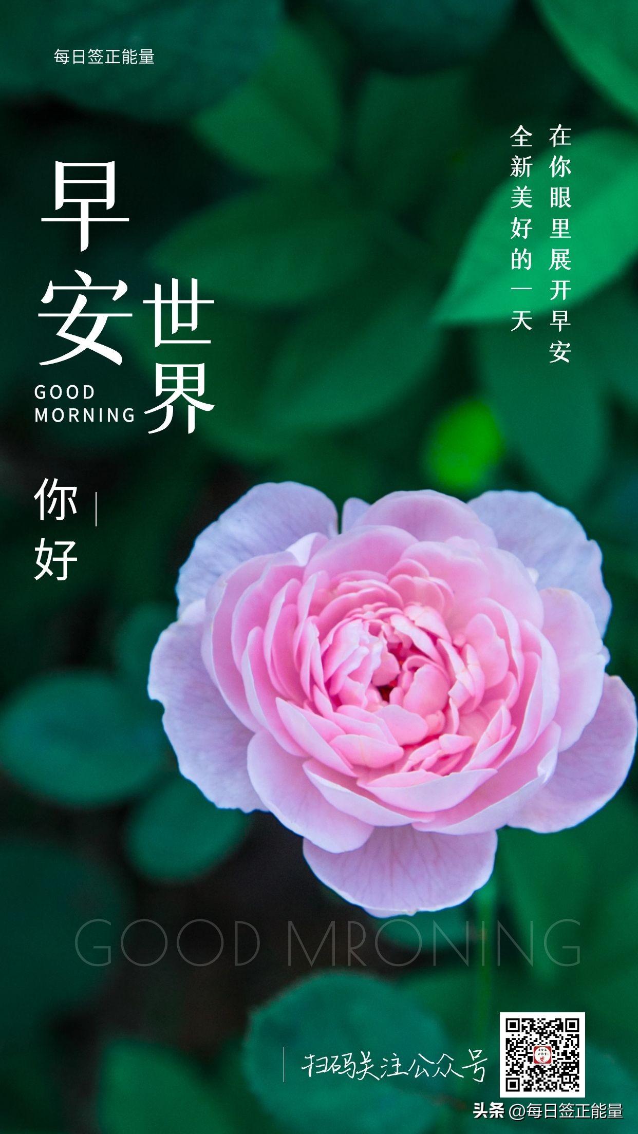 「今日寄语」给自己一份美好，让每个早晨充满希望，顺其自然(图3)