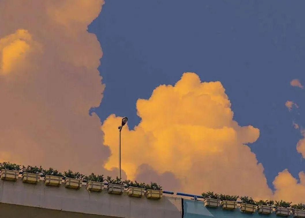 文案｜对一个人特别失望的短句(图3)