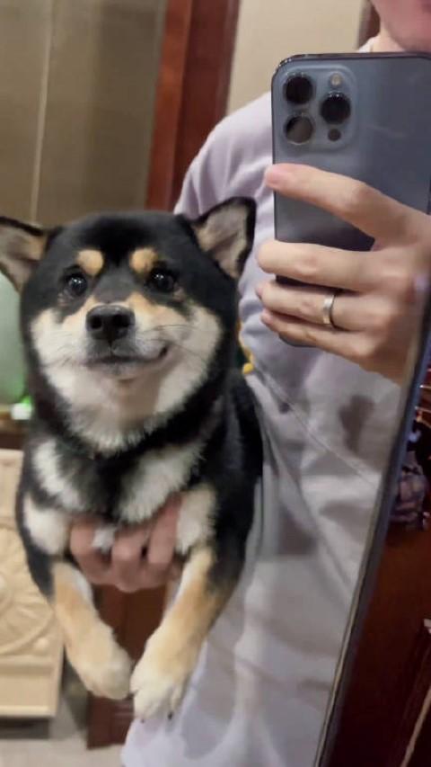 超甜情话的短句文案 1.遇见你爱意汹涌，看世间万物都浪漫心动(图1)