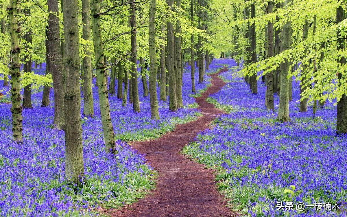 18句深情的句子，适合表达爱意（原创）(图2)