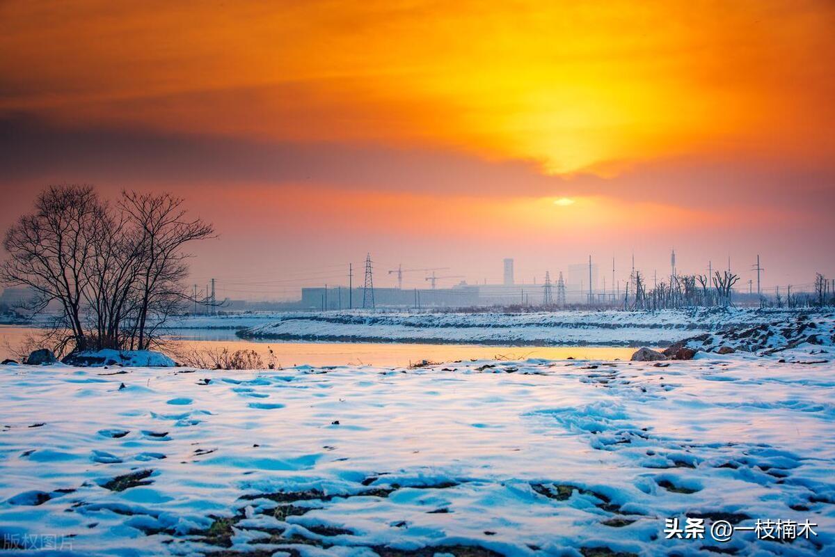 18句深情的句子，适合表达爱意（原创）(图4)