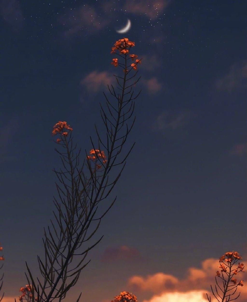 8首很伤感的经典古诗词，每一首都是一个感人至深的故事(图1)