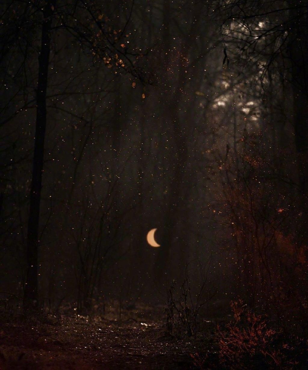 8首很伤感的经典古诗词，每一首都是一个感人至深的故事(图2)