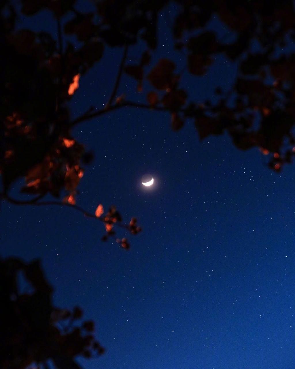 8首很伤感的经典古诗词，每一首都是一个感人至深的故事(图4)