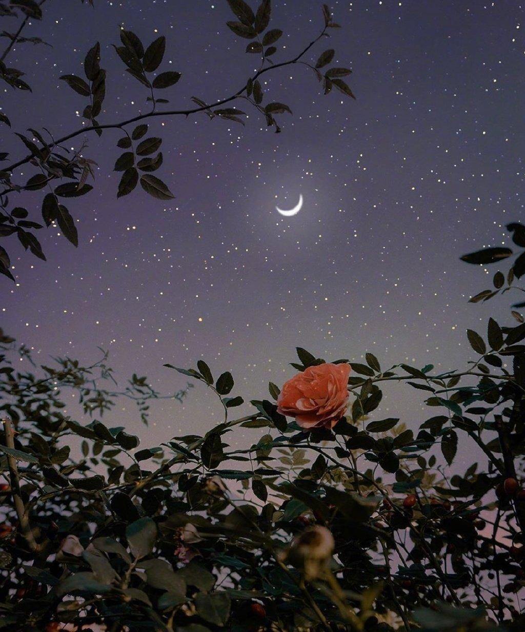 8首很伤感的经典古诗词，每一首都是一个感人至深的故事(图6)