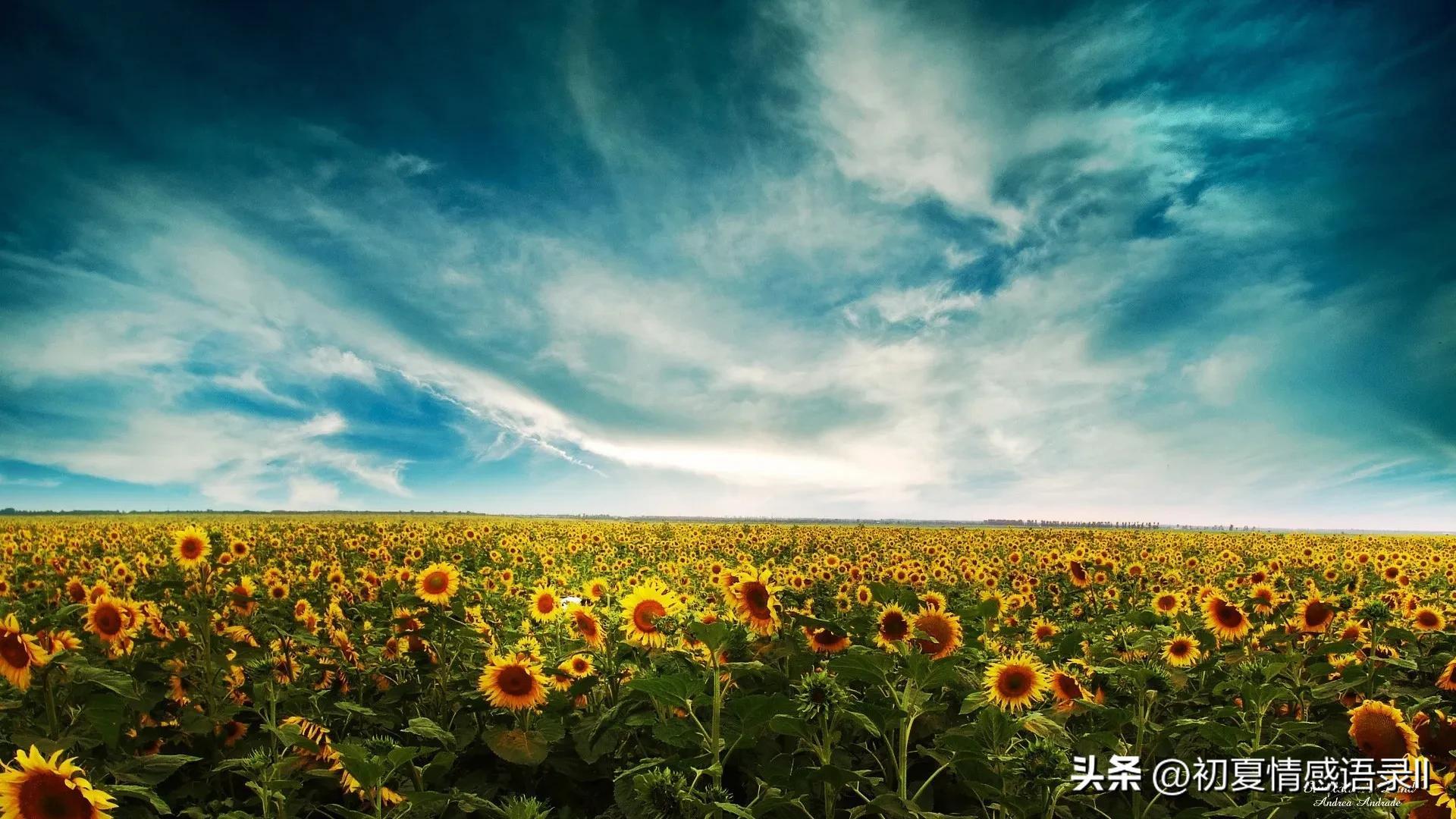 30个超伤感的情感句子，句句经典，简短却耐人寻味！(图5)