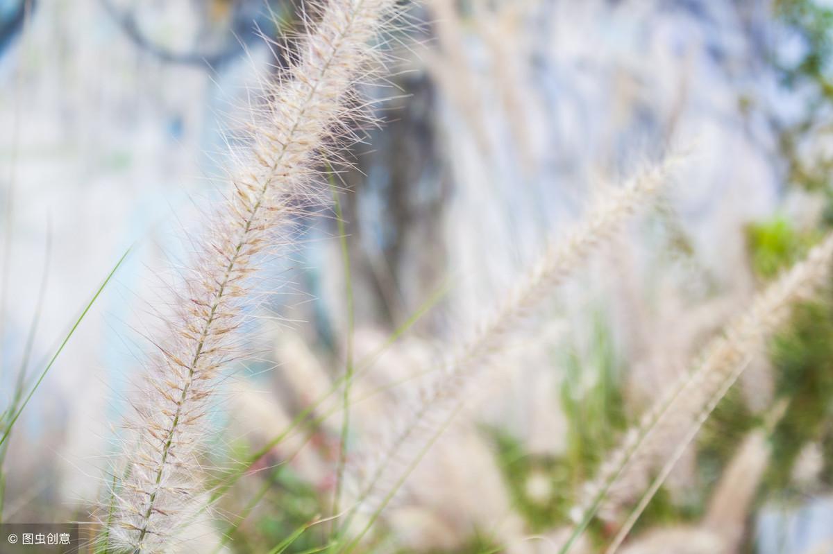 马云：男人若想成事，记住曾国藩这六句话，成功必定指日可待！(图5)