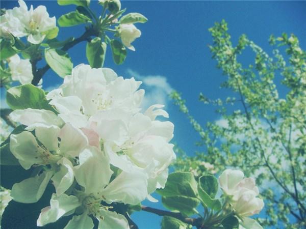 非常经典的情感句子，喜欢，请拿去(图4)