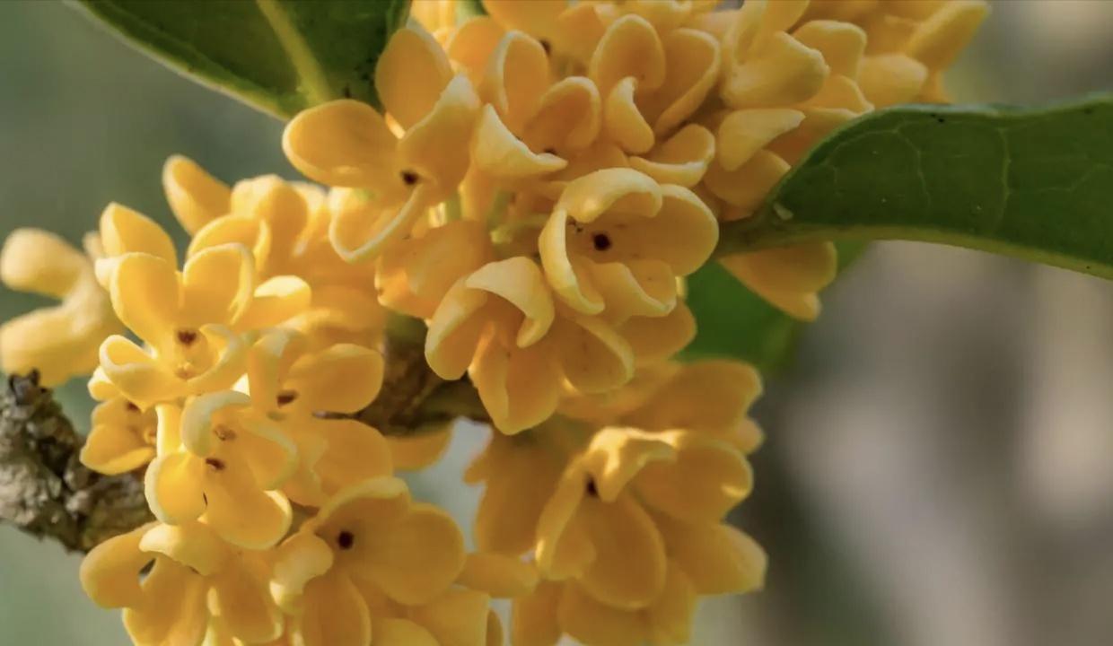 我爱你，是一场不理智的放逐(图1)