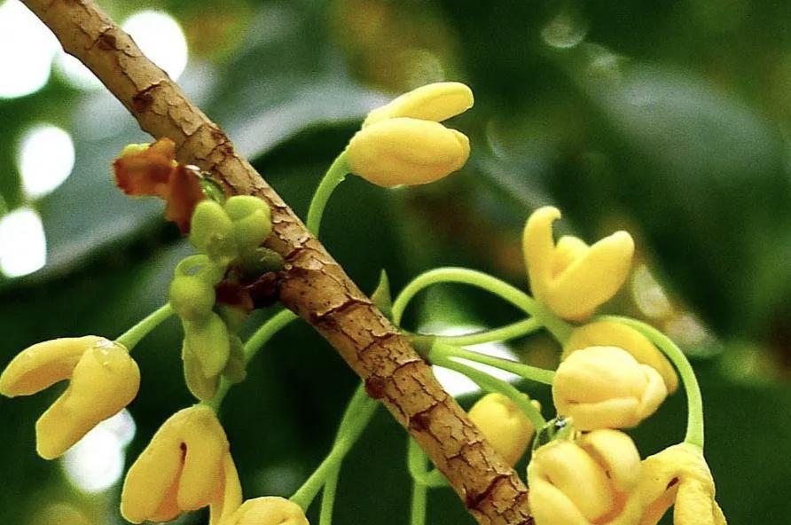 我爱你，是一场不理智的放逐(图2)