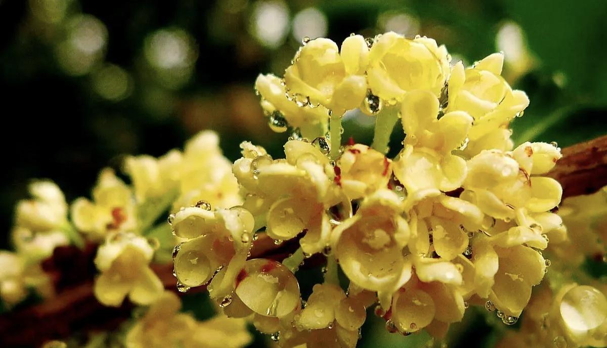 我爱你，是一场不理智的放逐(图3)