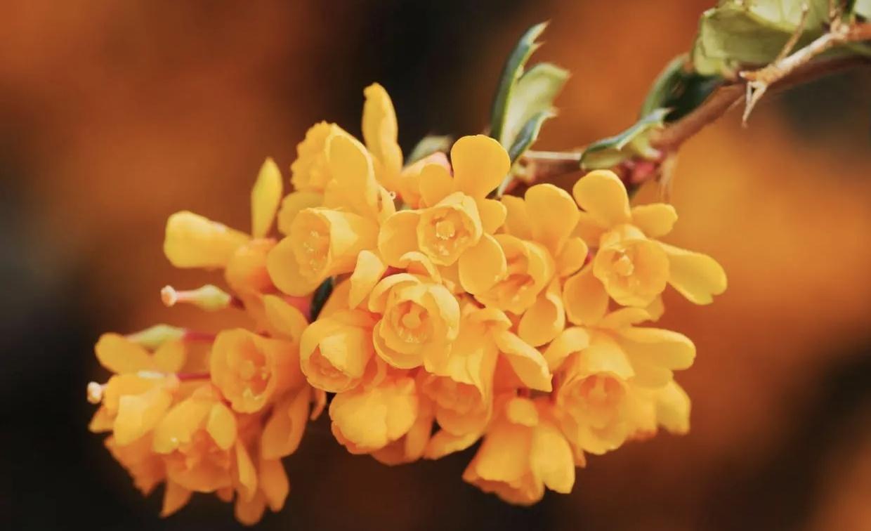 我爱你，是一场不理智的放逐(图5)