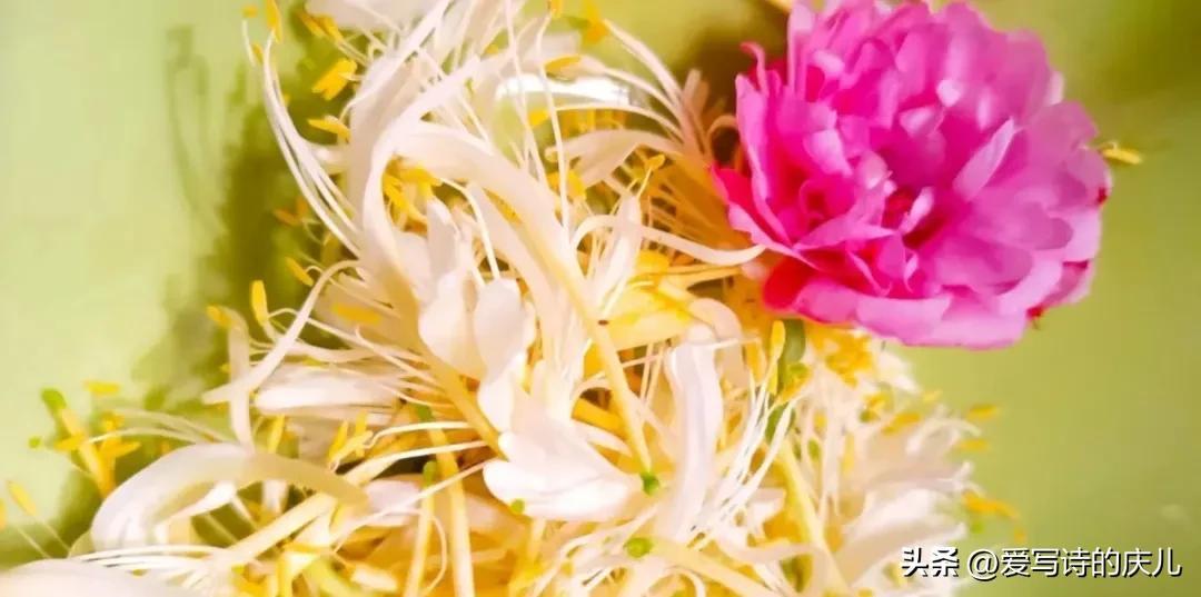 庆儿诗歌~逃离一座城,放逐一颗心(图5)