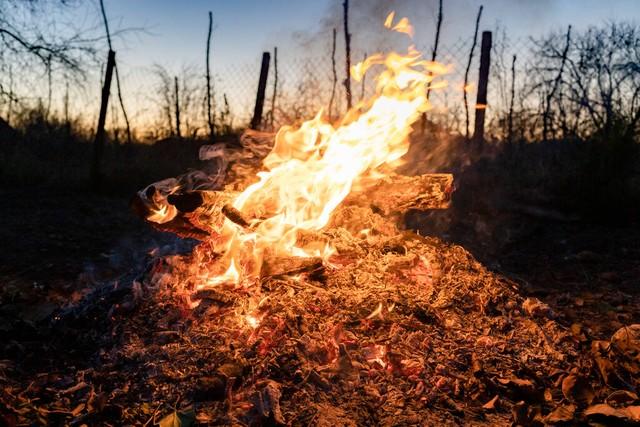 我母亲的名言“莫斯科不相信眼泪”(图4)