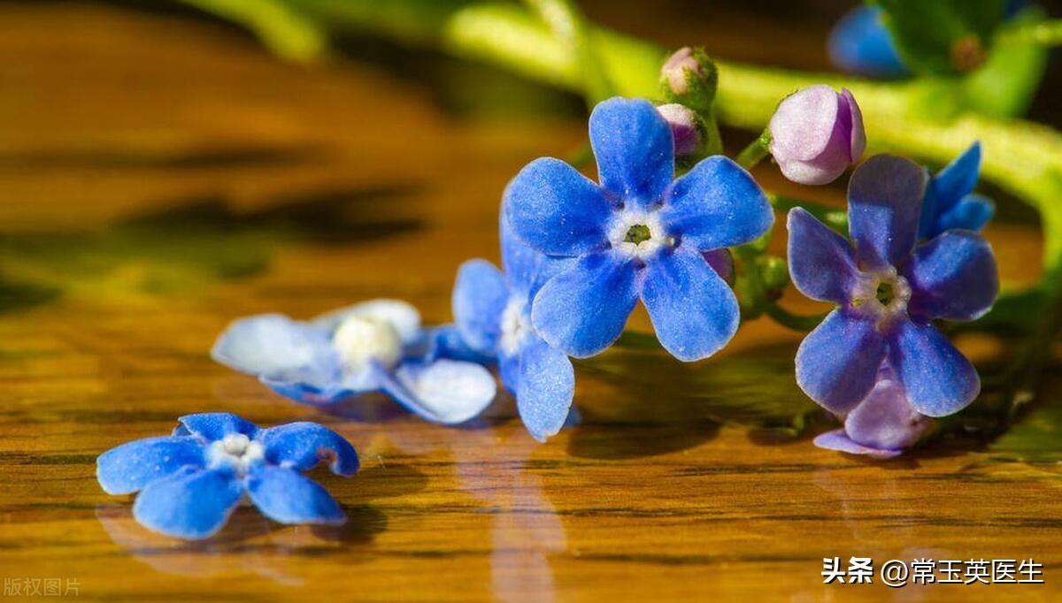 关于母爱的古诗句(图2)